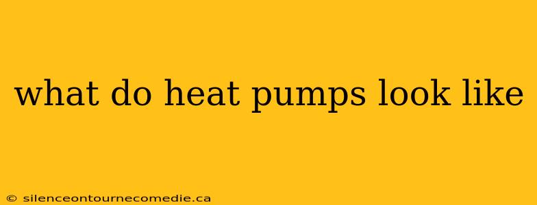 what do heat pumps look like