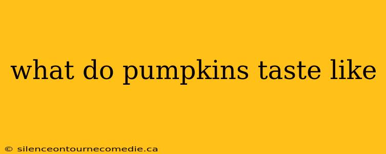what do pumpkins taste like