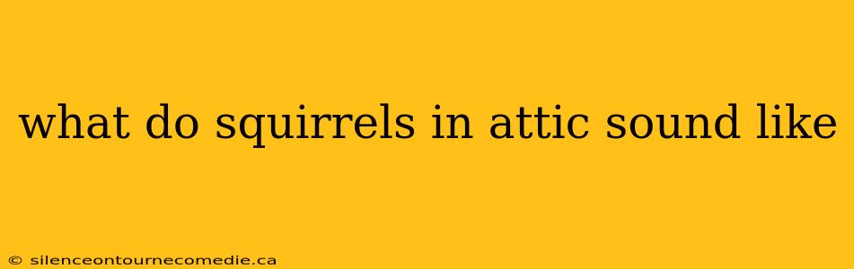 what do squirrels in attic sound like