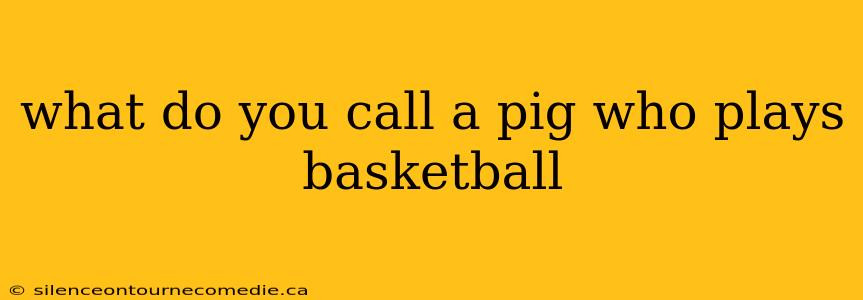 what do you call a pig who plays basketball