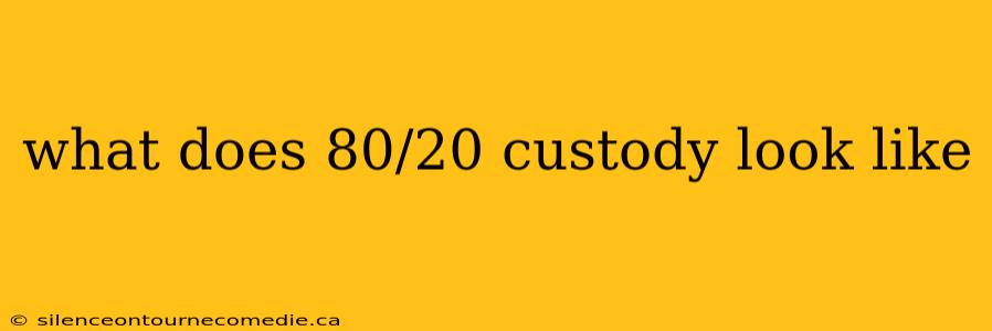 what does 80/20 custody look like