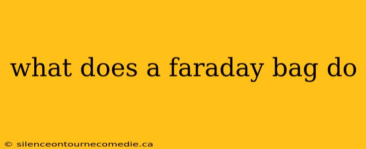 what does a faraday bag do