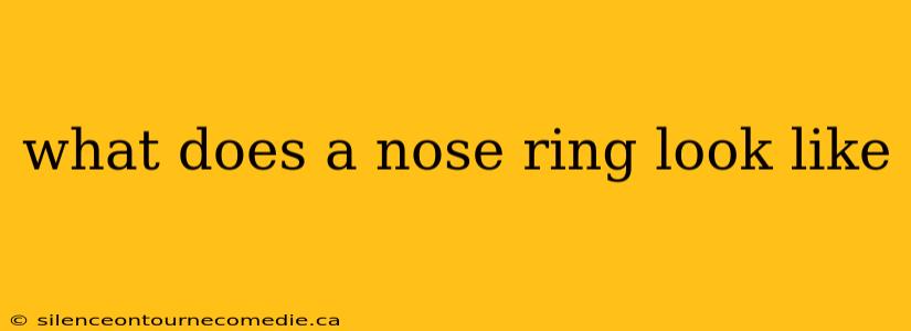what does a nose ring look like