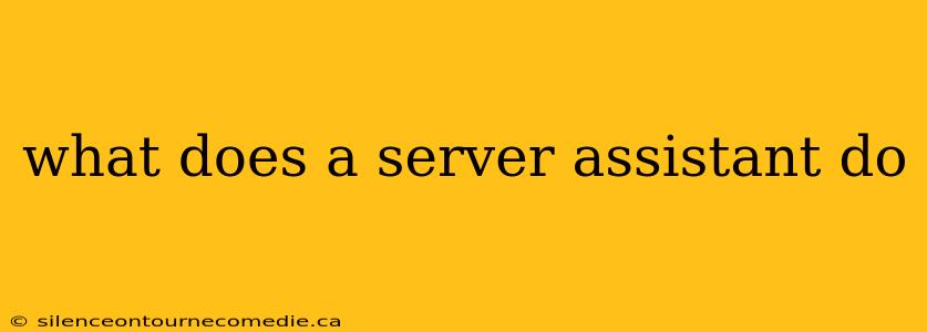 what does a server assistant do