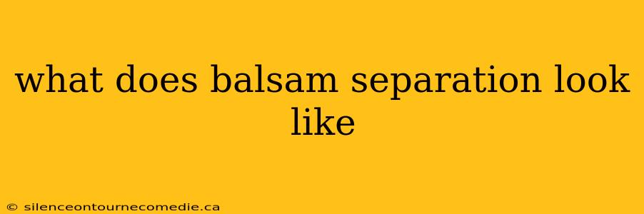 what does balsam separation look like