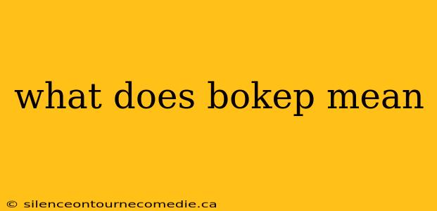 what does bokep mean