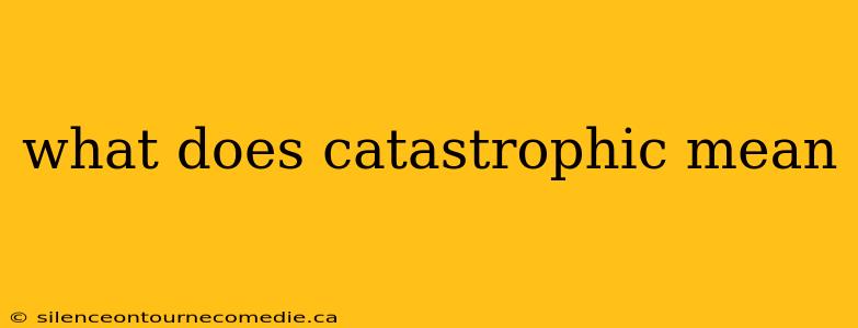 what does catastrophic mean