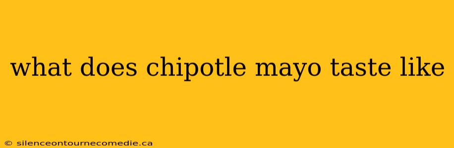 what does chipotle mayo taste like