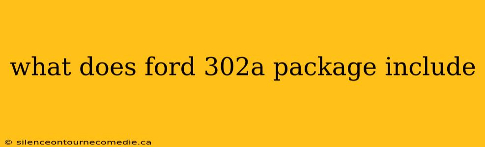 what does ford 302a package include
