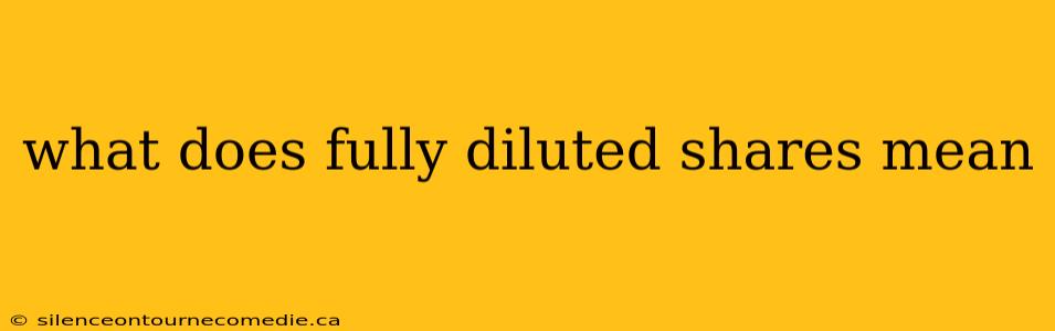 what does fully diluted shares mean