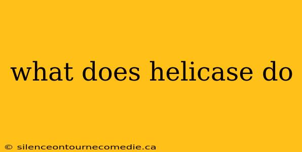 what does helicase do