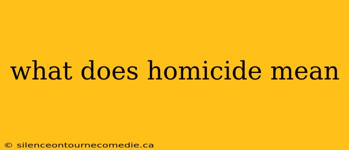 what does homicide mean