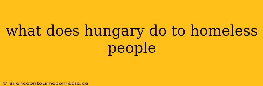 what does hungary do to homeless people