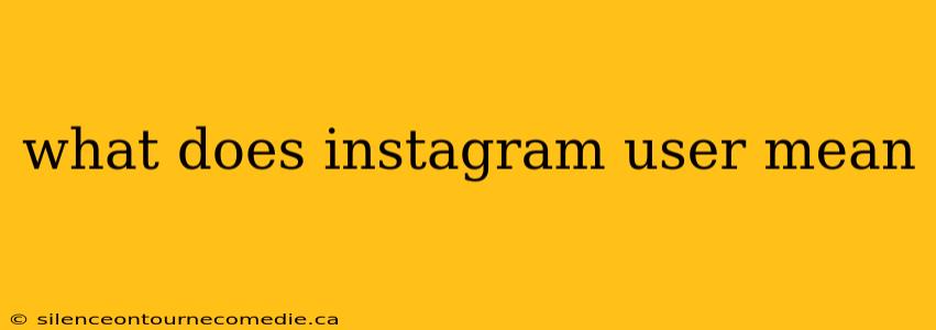 what does instagram user mean