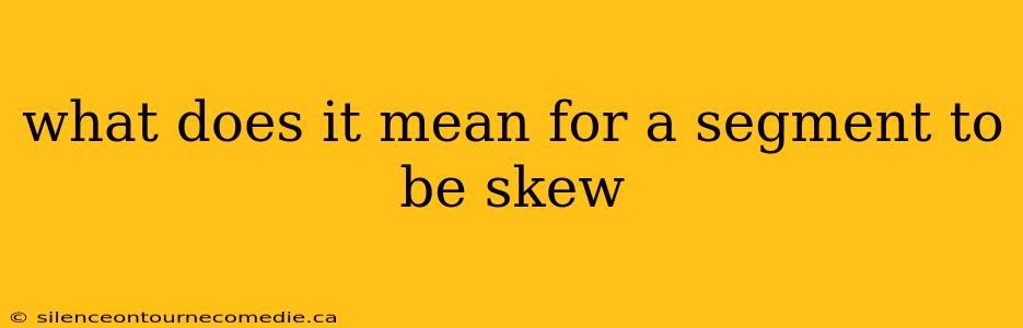 what does it mean for a segment to be skew