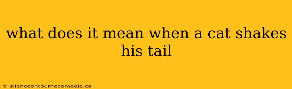 what does it mean when a cat shakes his tail