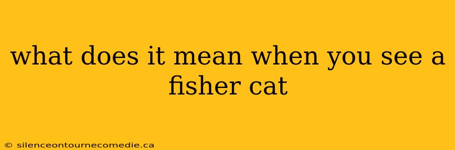 what does it mean when you see a fisher cat