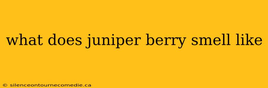 what does juniper berry smell like