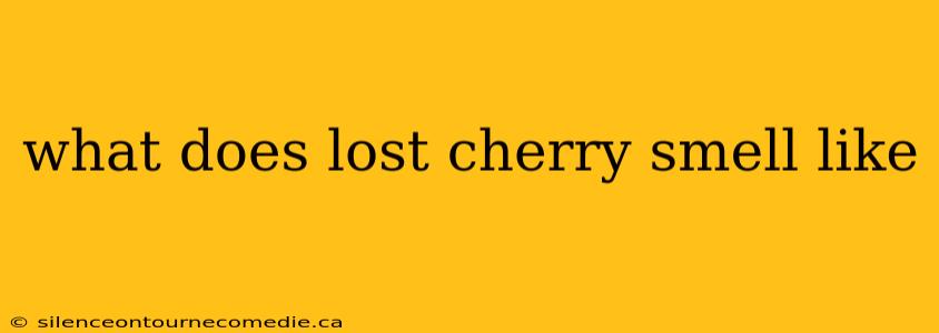 what does lost cherry smell like