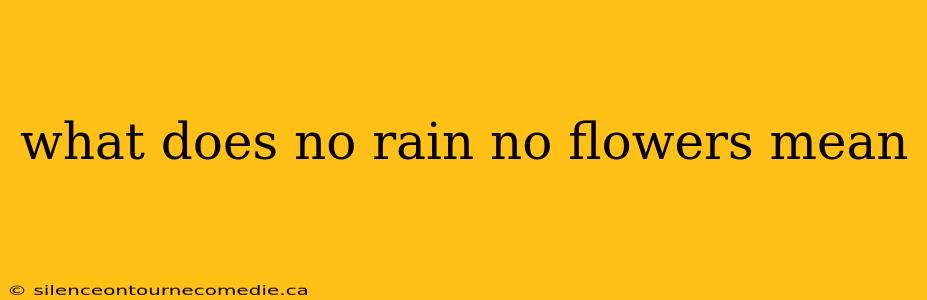 what does no rain no flowers mean