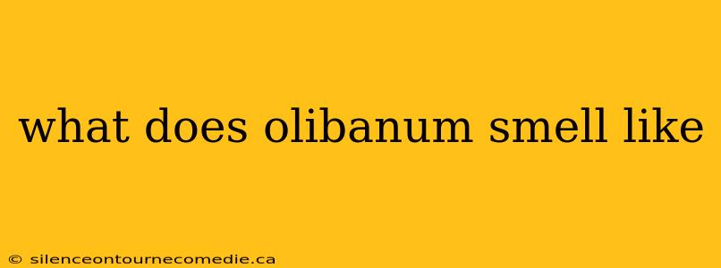 what does olibanum smell like