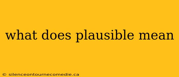 what does plausible mean