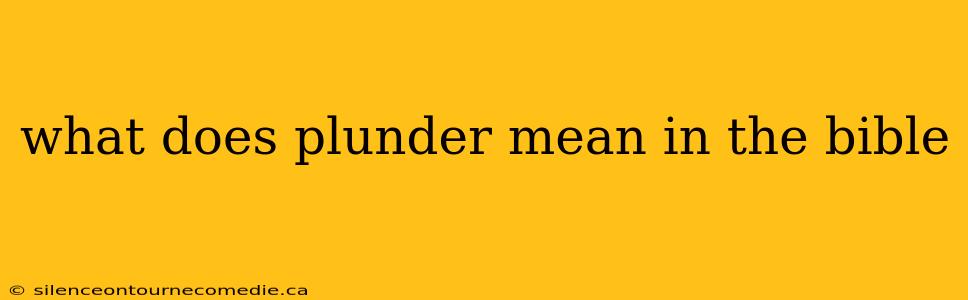 what does plunder mean in the bible