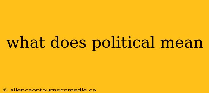 what does political mean