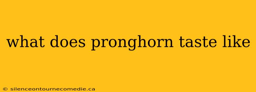 what does pronghorn taste like