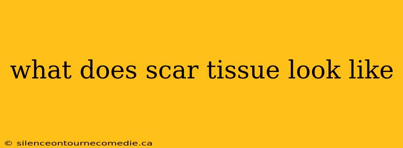 what does scar tissue look like