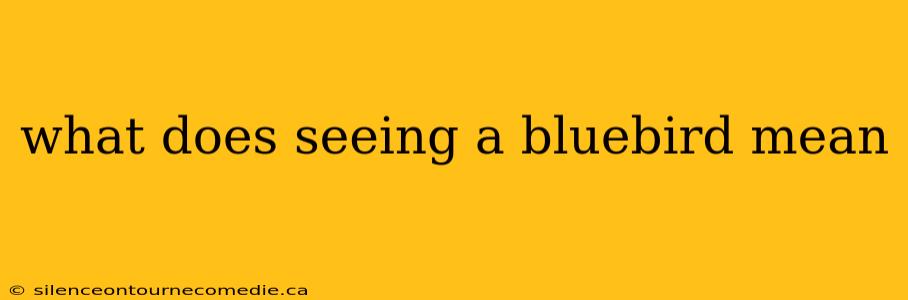 what does seeing a bluebird mean