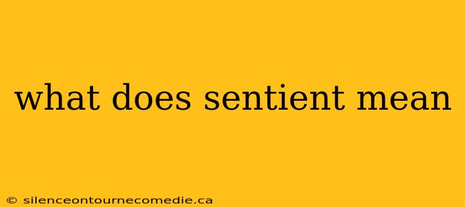 what does sentient mean