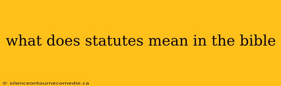 what does statutes mean in the bible