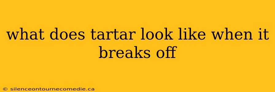 what does tartar look like when it breaks off