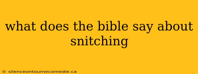 what does the bible say about snitching