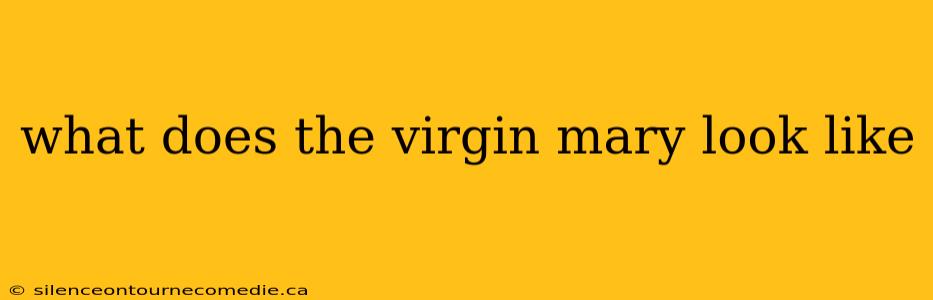 what does the virgin mary look like