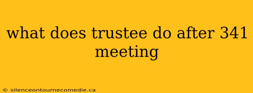 what does trustee do after 341 meeting