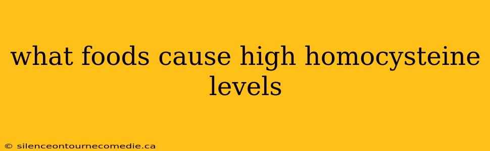 what foods cause high homocysteine levels