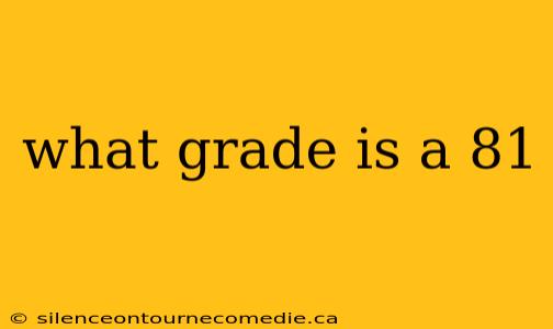 what grade is a 81