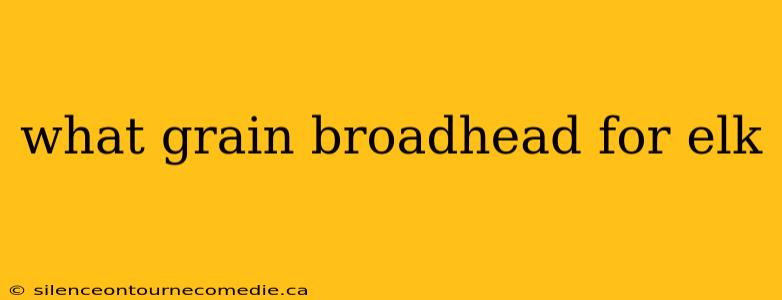 what grain broadhead for elk