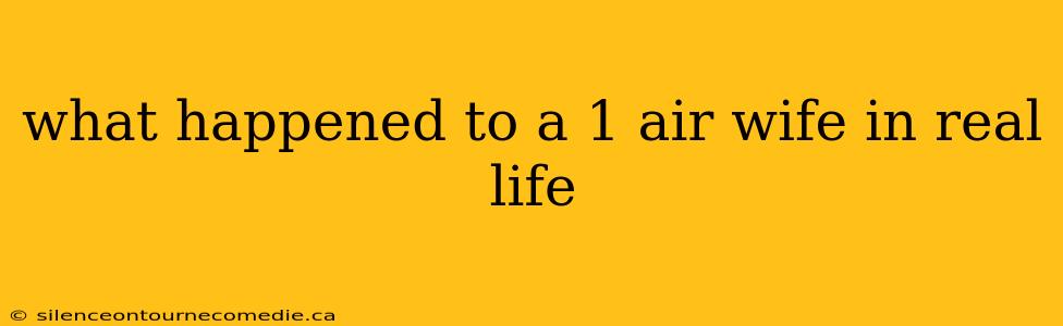 what happened to a 1 air wife in real life