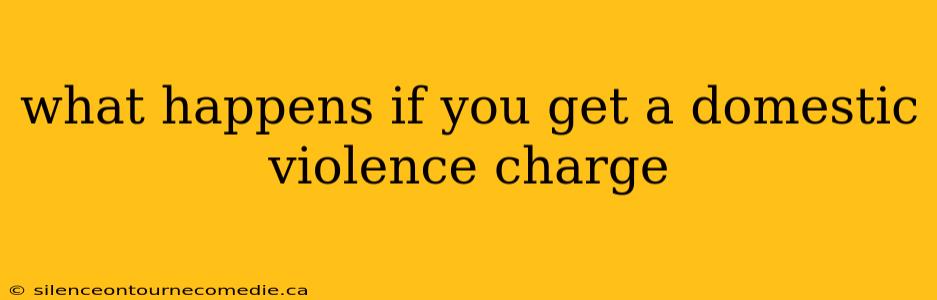 what happens if you get a domestic violence charge