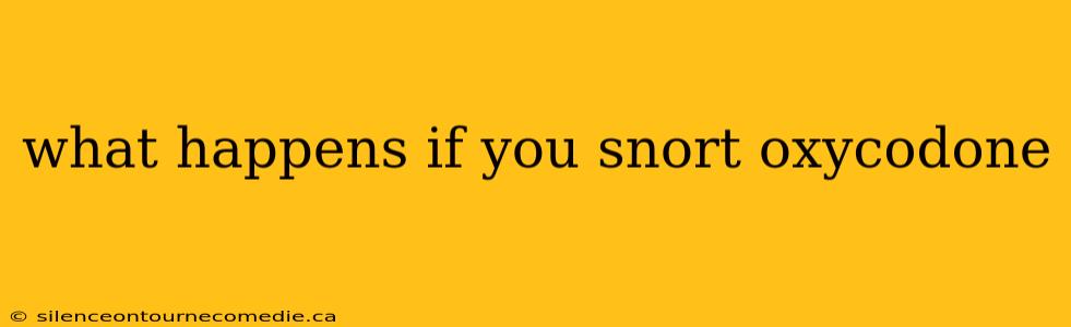 what happens if you snort oxycodone