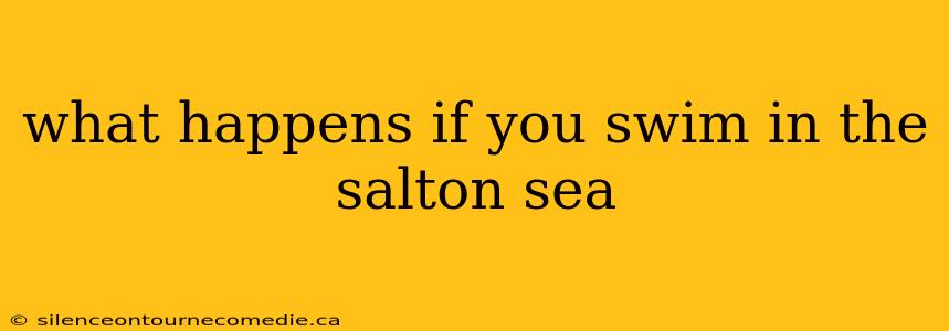 what happens if you swim in the salton sea