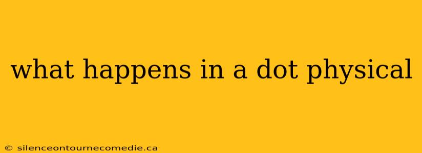 what happens in a dot physical
