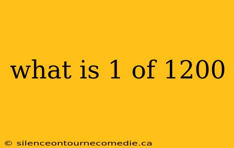 what is 1 of 1200