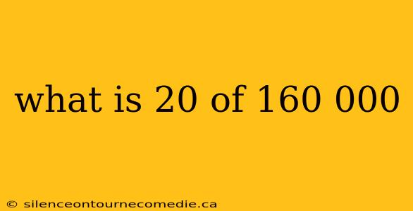 what is 20 of 160 000