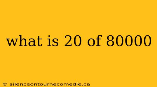 what is 20 of 80000