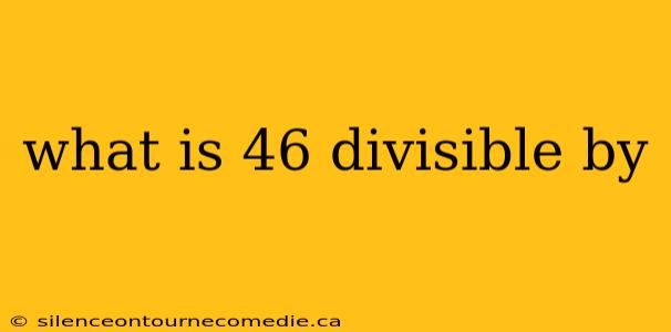 what is 46 divisible by