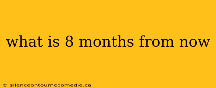 what is 8 months from now